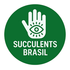 Succulents Brasil